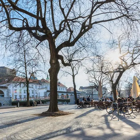 Old Town Ground Floor Apartment Ljubljana